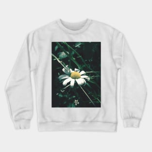 Daisy Crewneck Sweatshirt